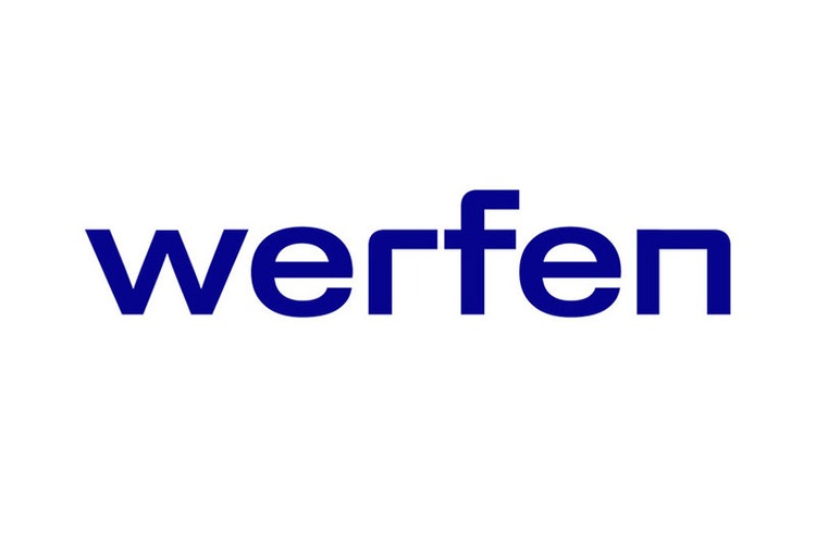 Werfen logo